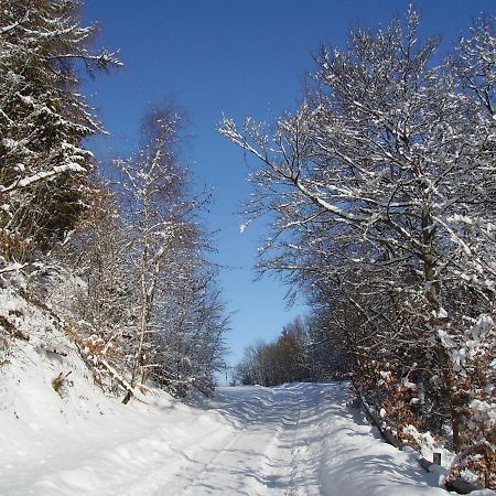Ferienwohnung Sauerlandblick Goldhausen Exteriér fotografie
