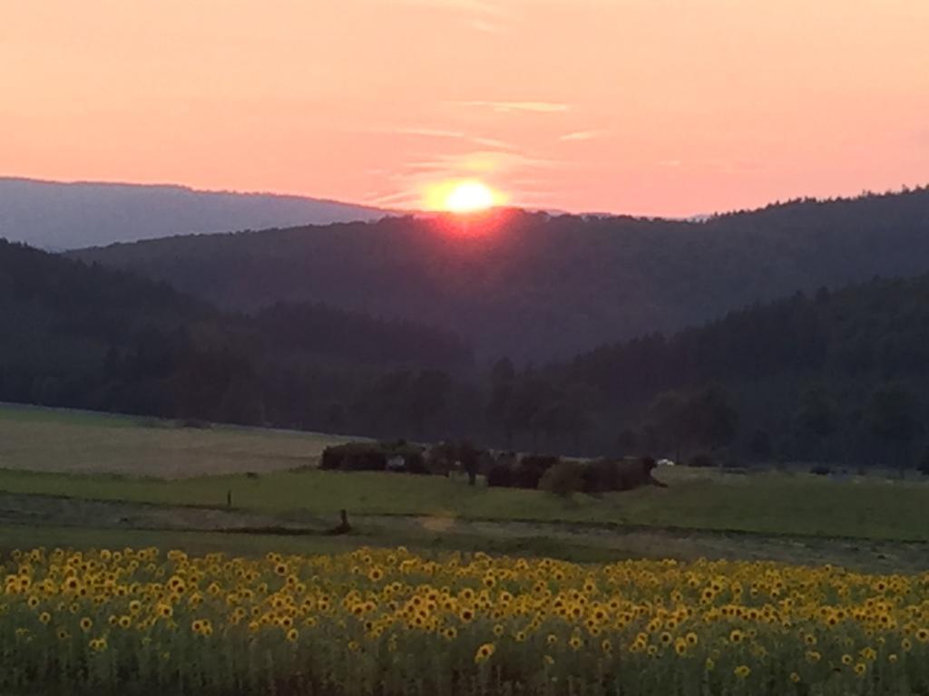 Ferienwohnung Sauerlandblick Goldhausen Exteriér fotografie